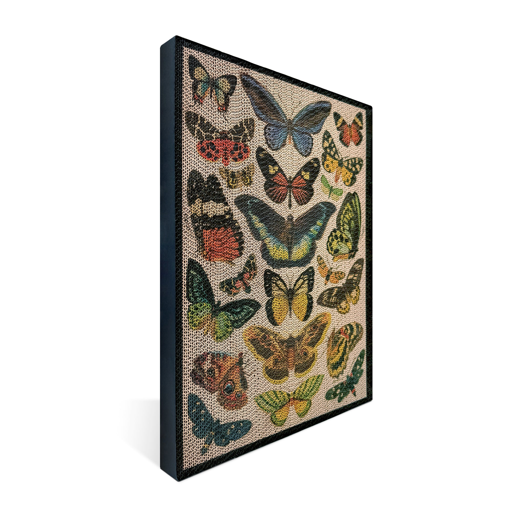 Butterfly Chart - Luxury Cat Scratching Board